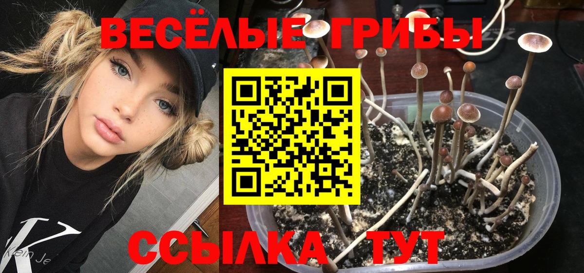 Галлюциногенные грибы Cubensis  Вход с VPN  Нефтекамск 